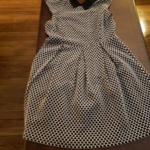 Ann Taylor Cotton Wool Midi Dress